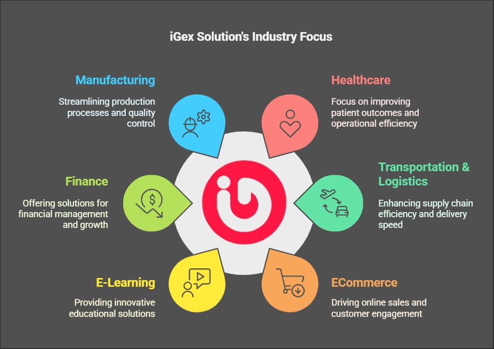 iGex Solution Industry Focus