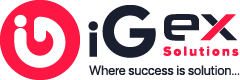 iGex Solutions logo